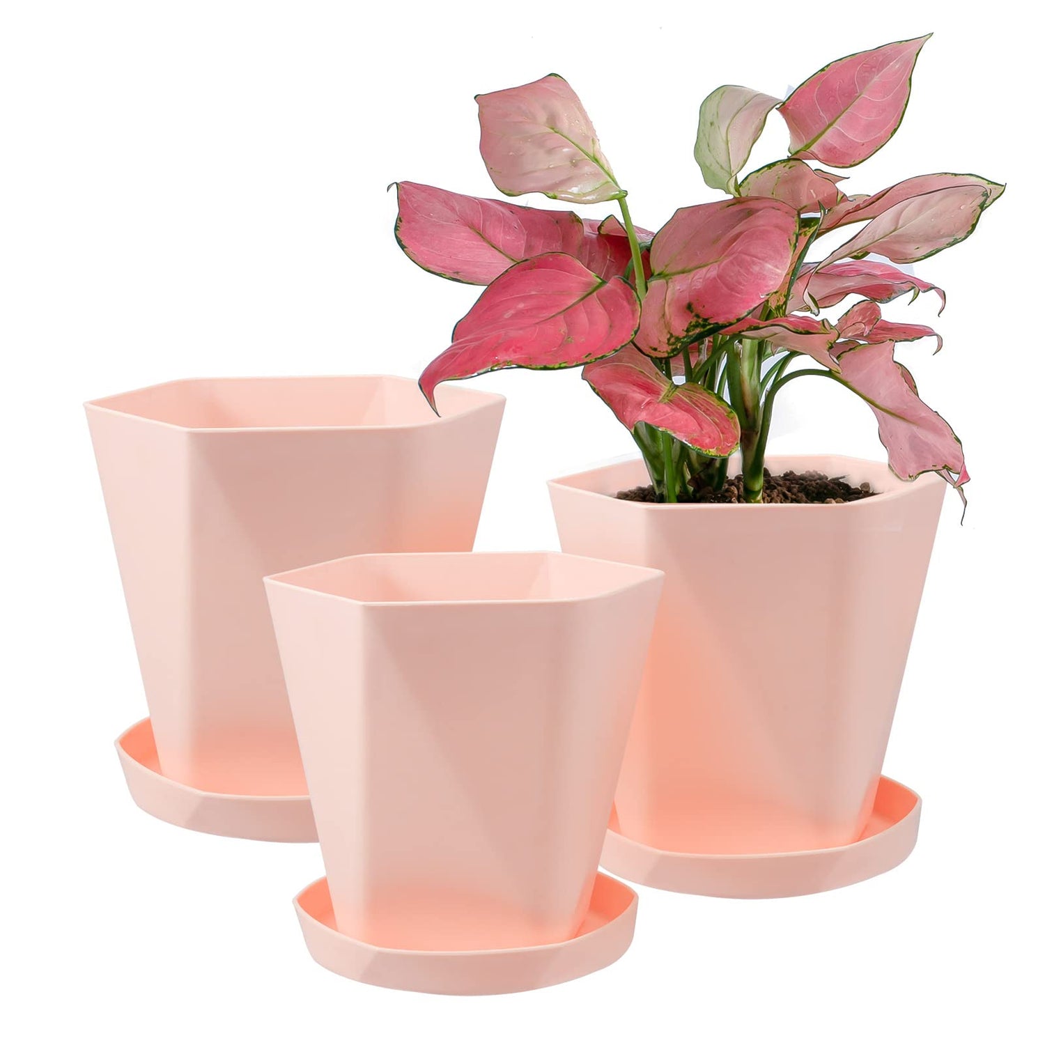 Flower Pots