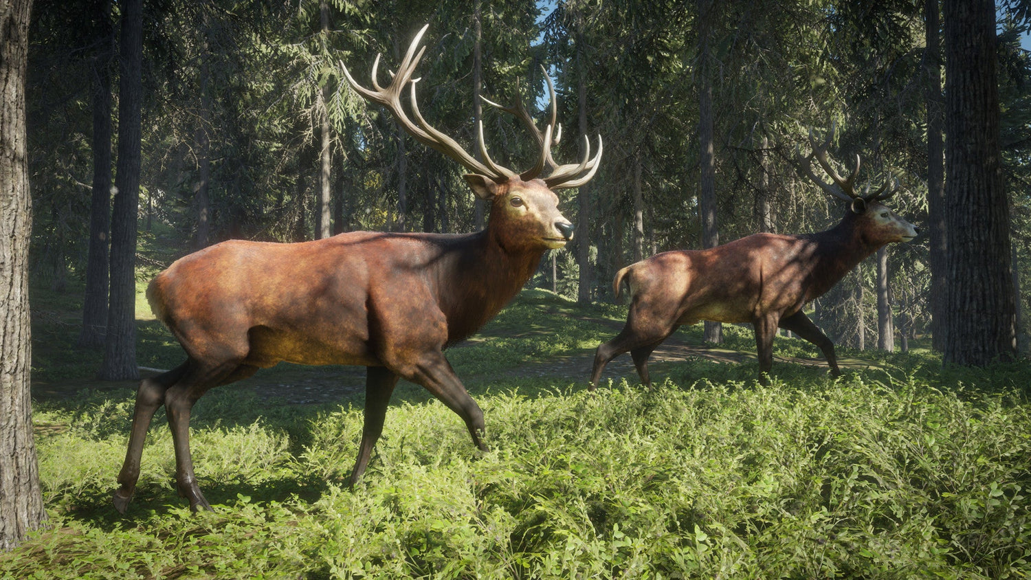 Hunting
